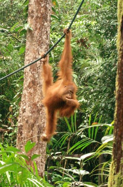 MaLaYsia_KuChInG_67.JPG