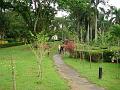 MaLaYsia_KuChInG_21