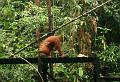 MaLaYsia_KuChInG_37