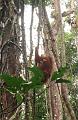 MaLaYsia_KuChInG_41