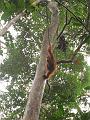 MaLaYsia_KuChInG_46