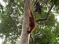 MaLaYsia_KuChInG_47