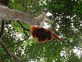 MaLaYsia_KuChInG_48
