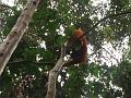 MaLaYsia_KuChInG_49
