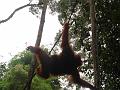 MaLaYsia_KuChInG_52