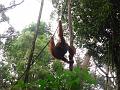MaLaYsia_KuChInG_54