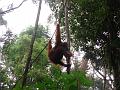 MaLaYsia_KuChInG_55