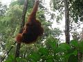 MaLaYsia_KuChInG_56