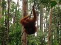 MaLaYsia_KuChInG_57