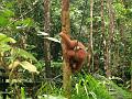 MaLaYsia_KuChInG_58