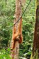 MaLaYsia_KuChInG_63