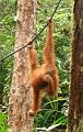 MaLaYsia_KuChInG_65