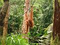 MaLaYsia_KuChInG_66