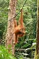 MaLaYsia_KuChInG_67
