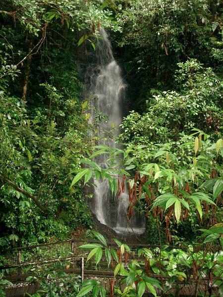 MaLaYsIa_-_MT_KiNaBaLu_03.jpg