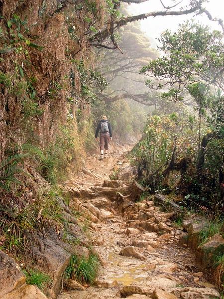 MaLaYsIa_-_MT_KiNaBaLu_08.jpg