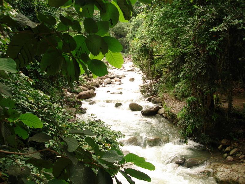 MaLaYsIa_-_MT_KiNaBaLu_116.jpg