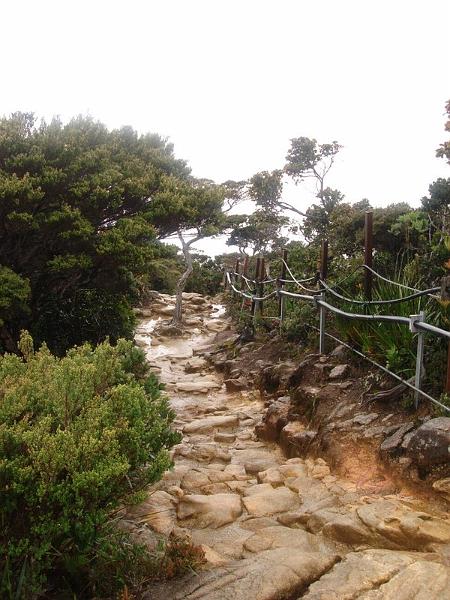 MaLaYsIa_-_MT_KiNaBaLu_12.jpg
