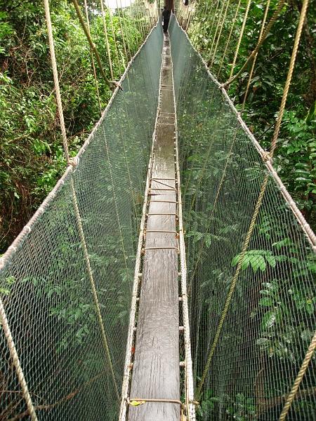 MaLaYsIa_-_MT_KiNaBaLu_128.jpg