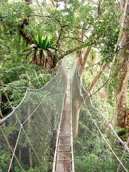 MaLaYsIa_-_MT_KiNaBaLu_133.jpg