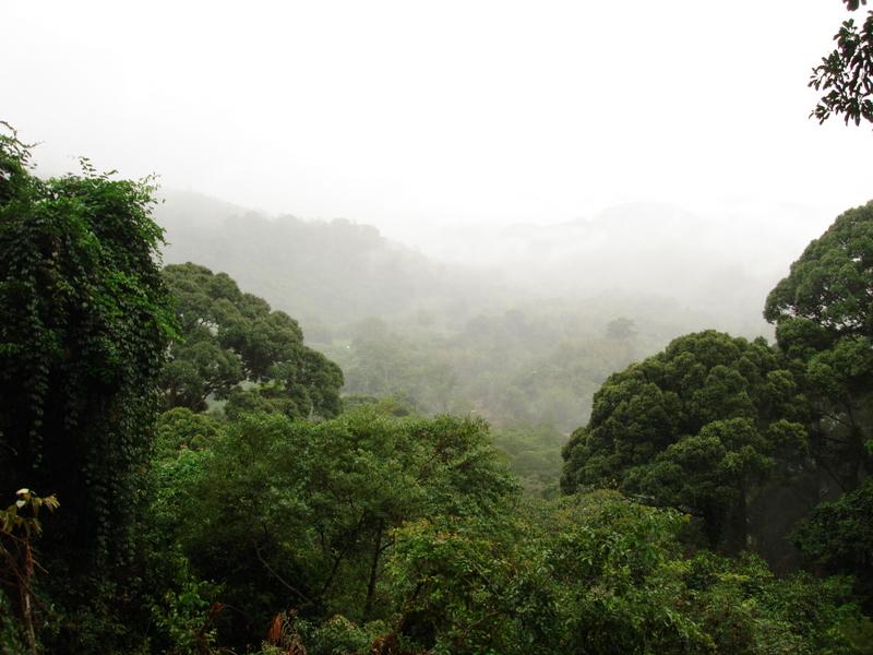 MaLaYsIa_-_MT_KiNaBaLu_137.jpg
