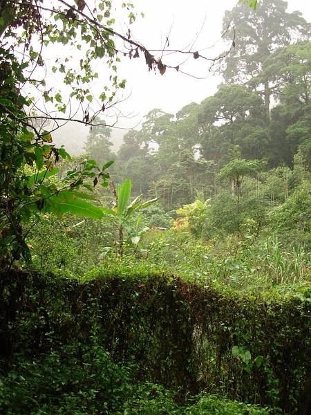 MaLaYsIa_-_MT_KiNaBaLu_149.jpg