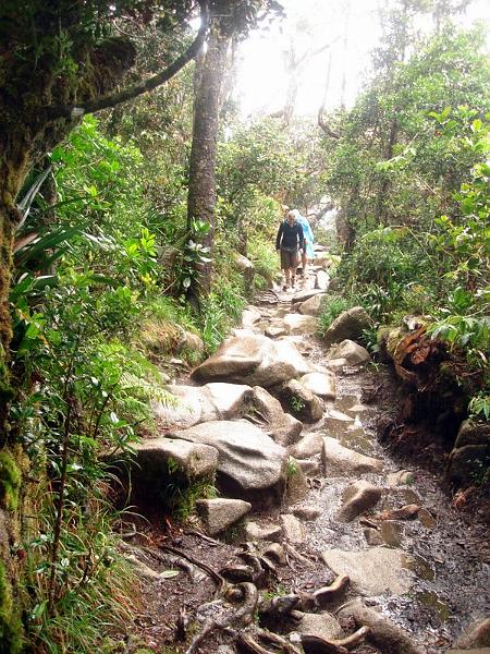 MaLaYsIa_-_MT_KiNaBaLu_15.jpg