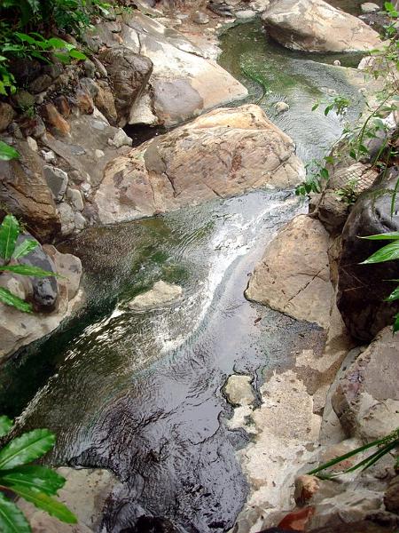 MaLaYsIa_-_MT_KiNaBaLu_157.jpg