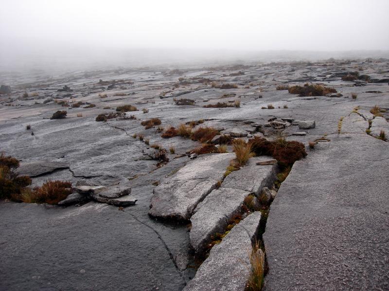 MaLaYsIa_-_MT_KiNaBaLu_54.jpg
