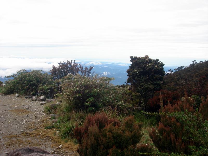 MaLaYsIa_-_MT_KiNaBaLu_59.jpg