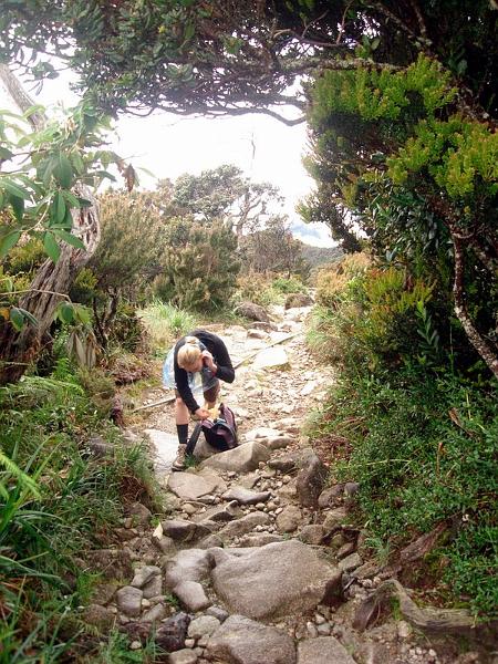 MaLaYsIa_-_MT_KiNaBaLu_67.jpg