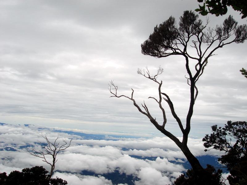 MaLaYsIa_-_MT_KiNaBaLu_69.jpg