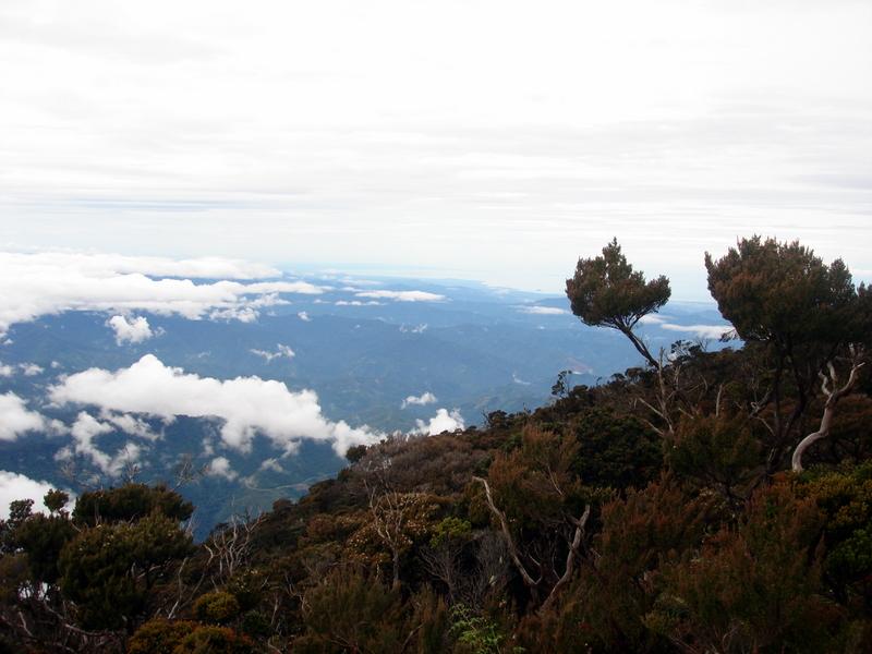MaLaYsIa_-_MT_KiNaBaLu_70.jpg