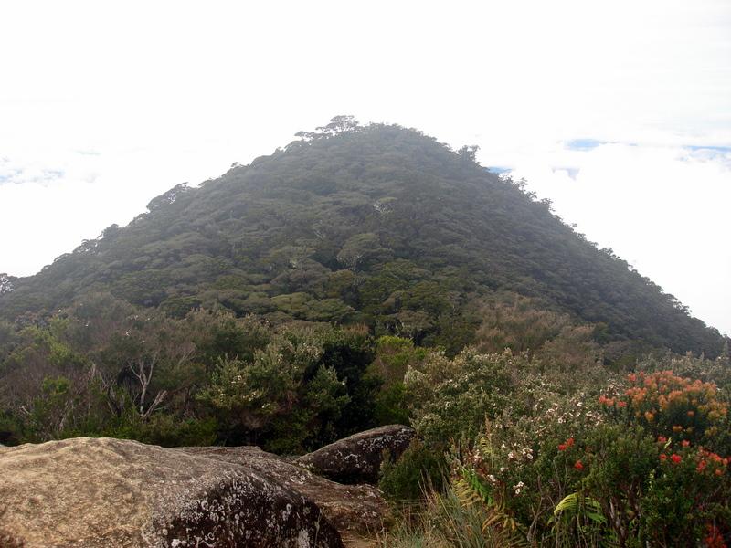 MaLaYsIa_-_MT_KiNaBaLu_93.jpg