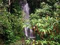 MaLaYsIa_-_MT_KiNaBaLu_04