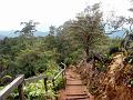 MaLaYsIa_-_MT_KiNaBaLu_06