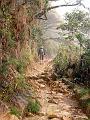 MaLaYsIa_-_MT_KiNaBaLu_08