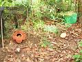 MaLaYsIa_-_MT_KiNaBaLu_107