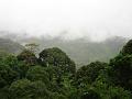 MaLaYsIa_-_MT_KiNaBaLu_129