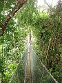 MaLaYsIa_-_MT_KiNaBaLu_132