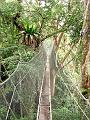 MaLaYsIa_-_MT_KiNaBaLu_133