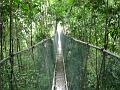 MaLaYsIa_-_MT_KiNaBaLu_146