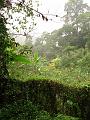 MaLaYsIa_-_MT_KiNaBaLu_149
