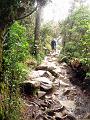 MaLaYsIa_-_MT_KiNaBaLu_15