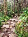 MaLaYsIa_-_MT_KiNaBaLu_16