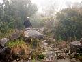 MaLaYsIa_-_MT_KiNaBaLu_18