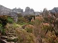 MaLaYsIa_-_MT_KiNaBaLu_66