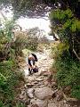 MaLaYsIa_-_MT_KiNaBaLu_67