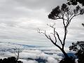 MaLaYsIa_-_MT_KiNaBaLu_69