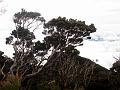 MaLaYsIa_-_MT_KiNaBaLu_72